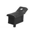 Support moteur REINHOCH RH11-1061 - Visuel 2