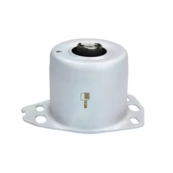 Support moteur avant gauche REINHOCH