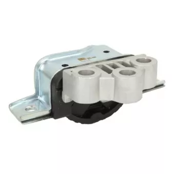 Support moteur REINHOCH RH11-1077