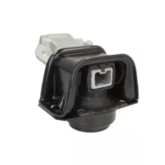 Support moteur REINHOCH