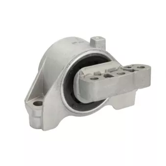 Support moteur REINHOCH