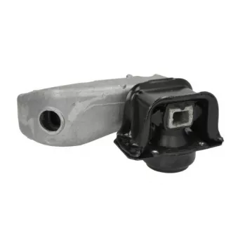 Support moteur REINHOCH RH11-2094