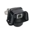 Support moteur REINHOCH RH11-2099 - Visuel 1