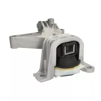 Support moteur REINHOCH RH11-2116