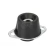 Support moteur avant gauche REINHOCH RH11-2153 - Visuel 1