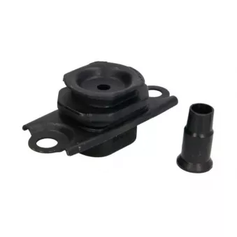 Support moteur REINHOCH RH11-2166