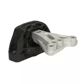 Support moteur REINHOCH RH11-2188