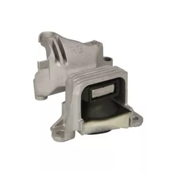 Support moteur REINHOCH RH11-2199
