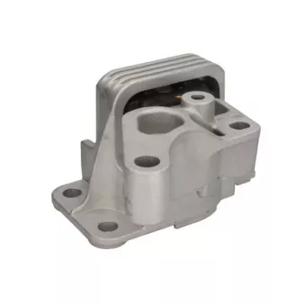 Support moteur avant droit REINHOCH