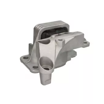 Support moteur REINHOCH RH11-2209