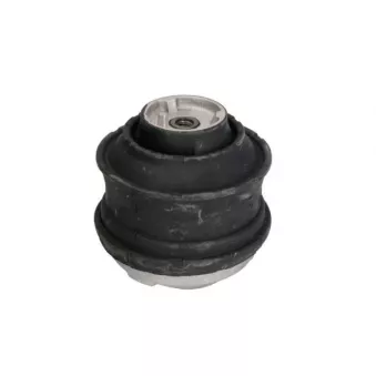 Support moteur REINHOCH RH11-3012