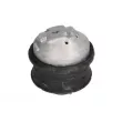Support moteur REINHOCH RH11-3012 - Visuel 2