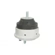 Support moteur REINHOCH RH11-3013 - Visuel 1