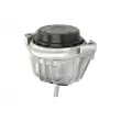 Support moteur REINHOCH RH11-3038 - Visuel 2