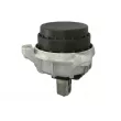 Support moteur REINHOCH RH11-3048 - Visuel 2