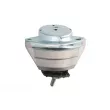 Support moteur REINHOCH RH11-3057 - Visuel 2