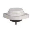 Support moteur REINHOCH RH11-3062 - Visuel 2