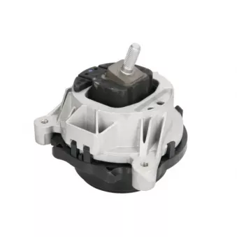 Support moteur REINHOCH RH11-3067