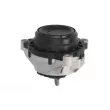 Support moteur REINHOCH RH11-3070 - Visuel 2
