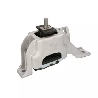 Support moteur REINHOCH RH11-3075