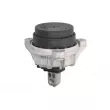 Support moteur avant gauche REINHOCH RH11-3080 - Visuel 2
