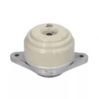 Support moteur REINHOCH