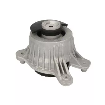 Support moteur REINHOCH