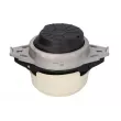 Support moteur avant gauche REINHOCH RH11-3102 - Visuel 2