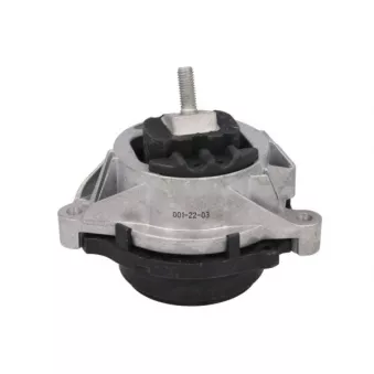 Support moteur REINHOCH RH11-3113