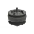 Support moteur REINHOCH RH11-4002 - Visuel 1