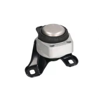 Support moteur REINHOCH