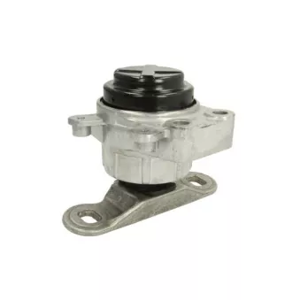 Support moteur REINHOCH RH11-4039