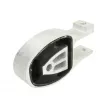 Support moteur REINHOCH RH11-4043 - Visuel 1