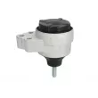 Support moteur REINHOCH RH11-4050 - Visuel 2
