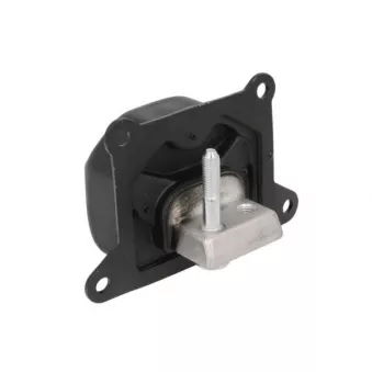 Support moteur avant droit REINHOCH