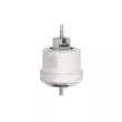 Support moteur avant droit REINHOCH RH11-5025 - Visuel 1