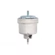 Support moteur avant droit REINHOCH RH11-5025 - Visuel 2
