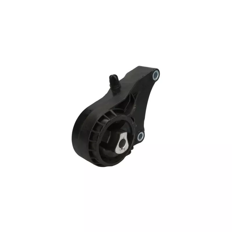 Support moteur REINHOCH RH11-5083