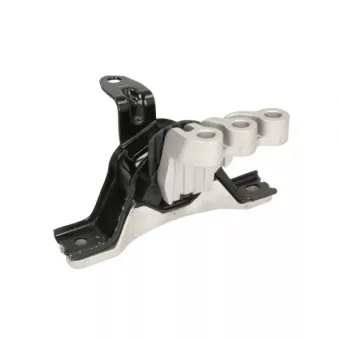 Support moteur REINHOCH