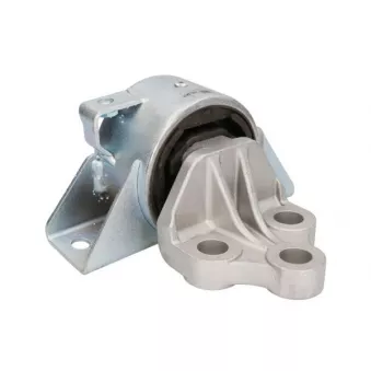 Support moteur REINHOCH