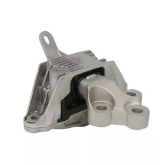 Support moteur REINHOCH RH11-5095