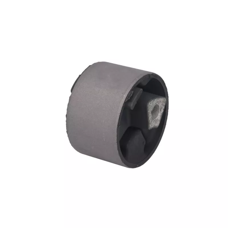 Support moteur REINHOCH RH11-6010