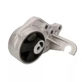 Support moteur REINHOCH
