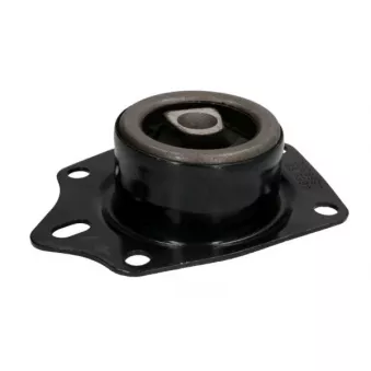 Support moteur REINHOCH RH11-6024