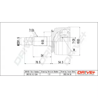 Embout de cardan avant (kit de réparation) Dr!ve+ DP2110.10.1234