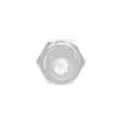 Indicateur de pression d'huile OE 504310254 - Visuel 3