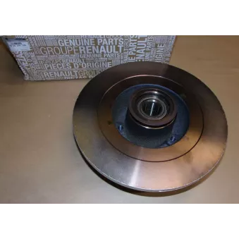 Jeu de 2 disques de frein arrière OE