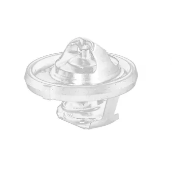 Thermostat d'eau OE 55111016AE