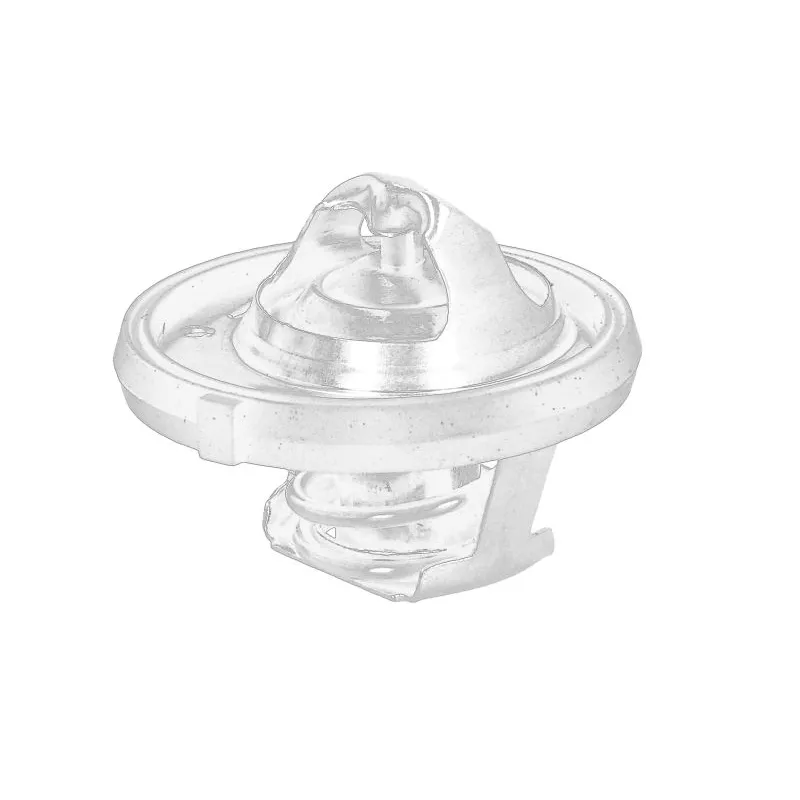 Thermostat d'eau OE 55111016AE
