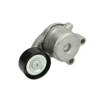 Galet tendeur de la courroie d'accessoires OE VM30222010F